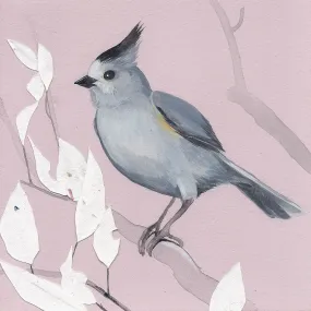Black-Crested Titmouse print