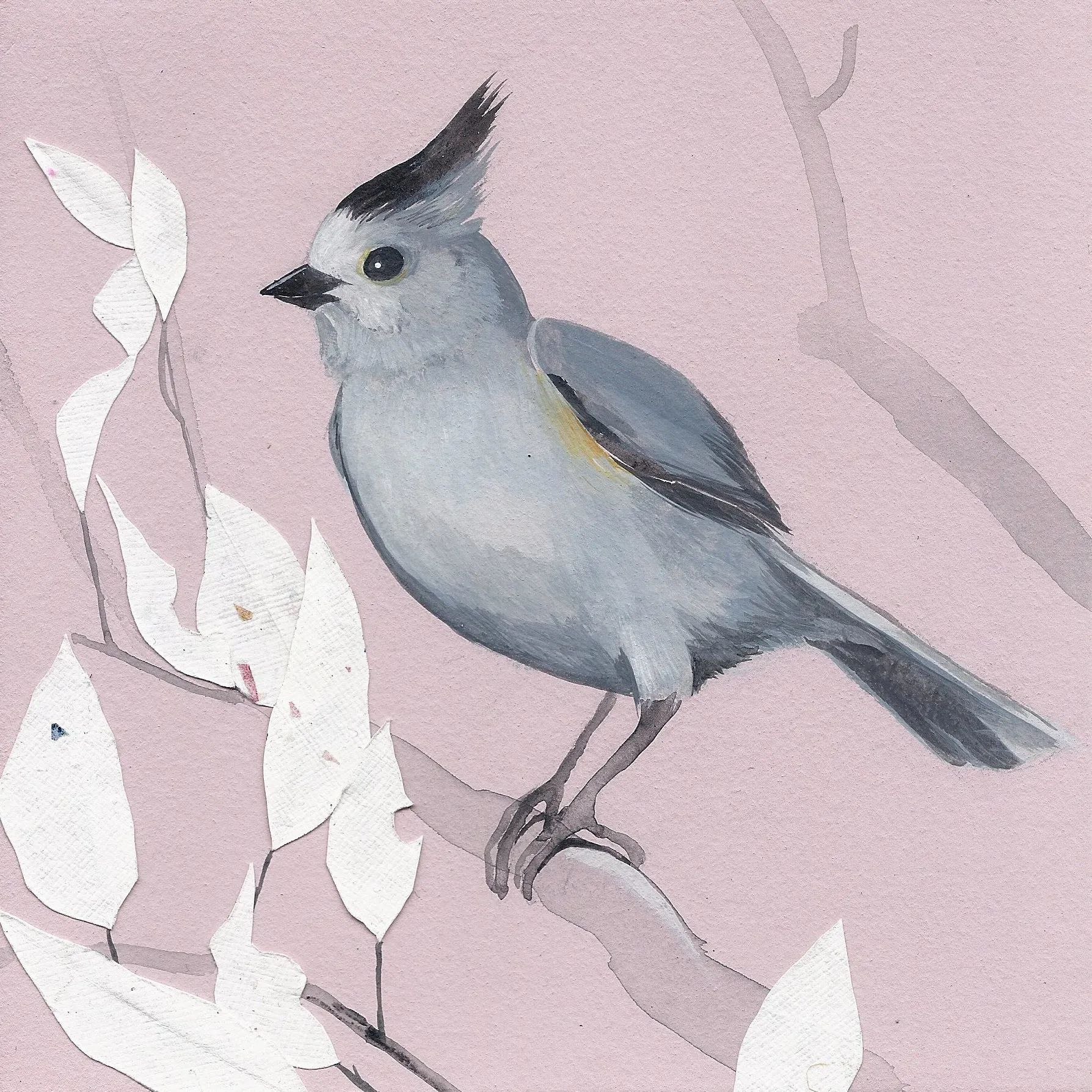 Black-Crested Titmouse print