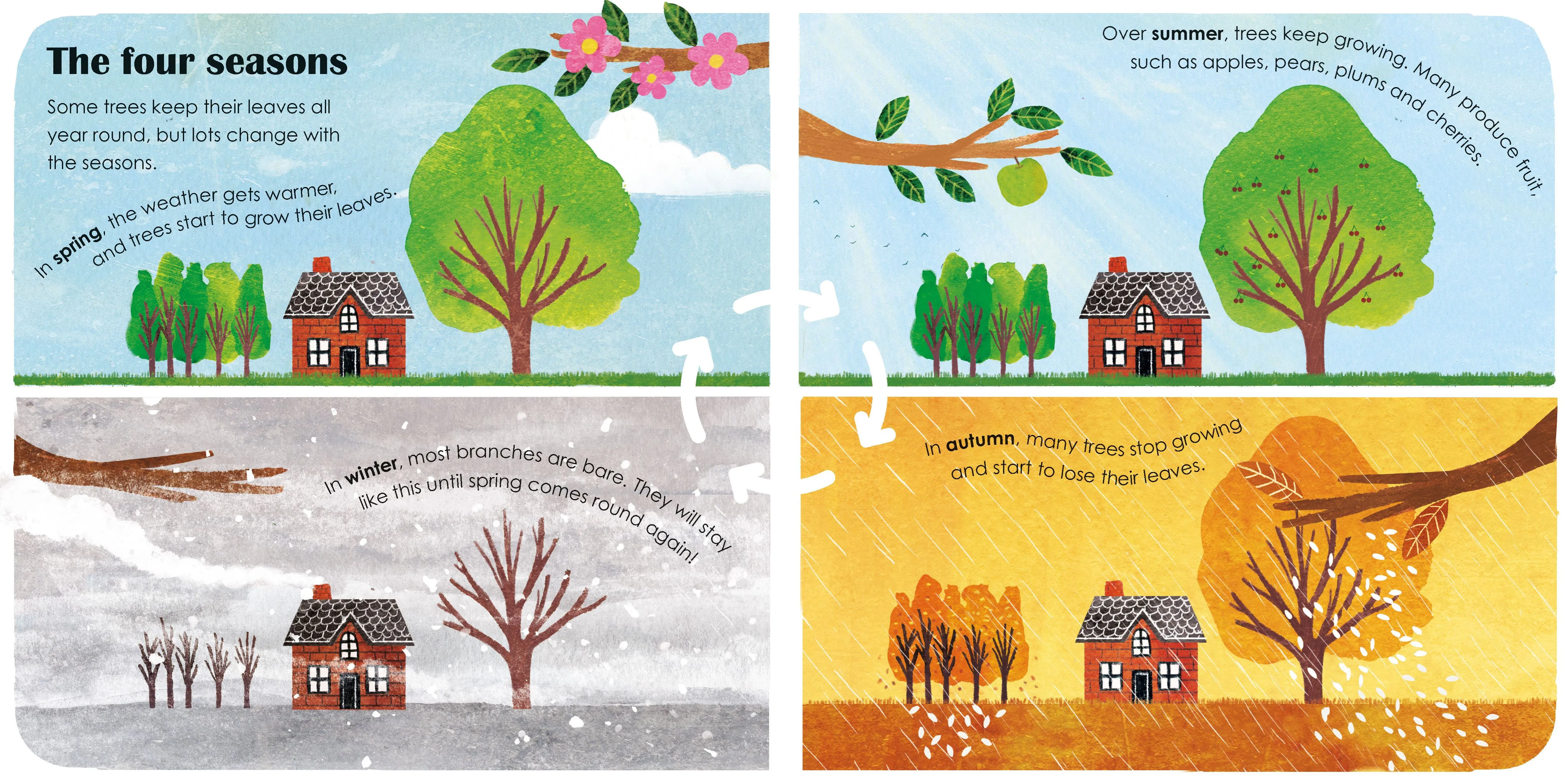 Book - Trees