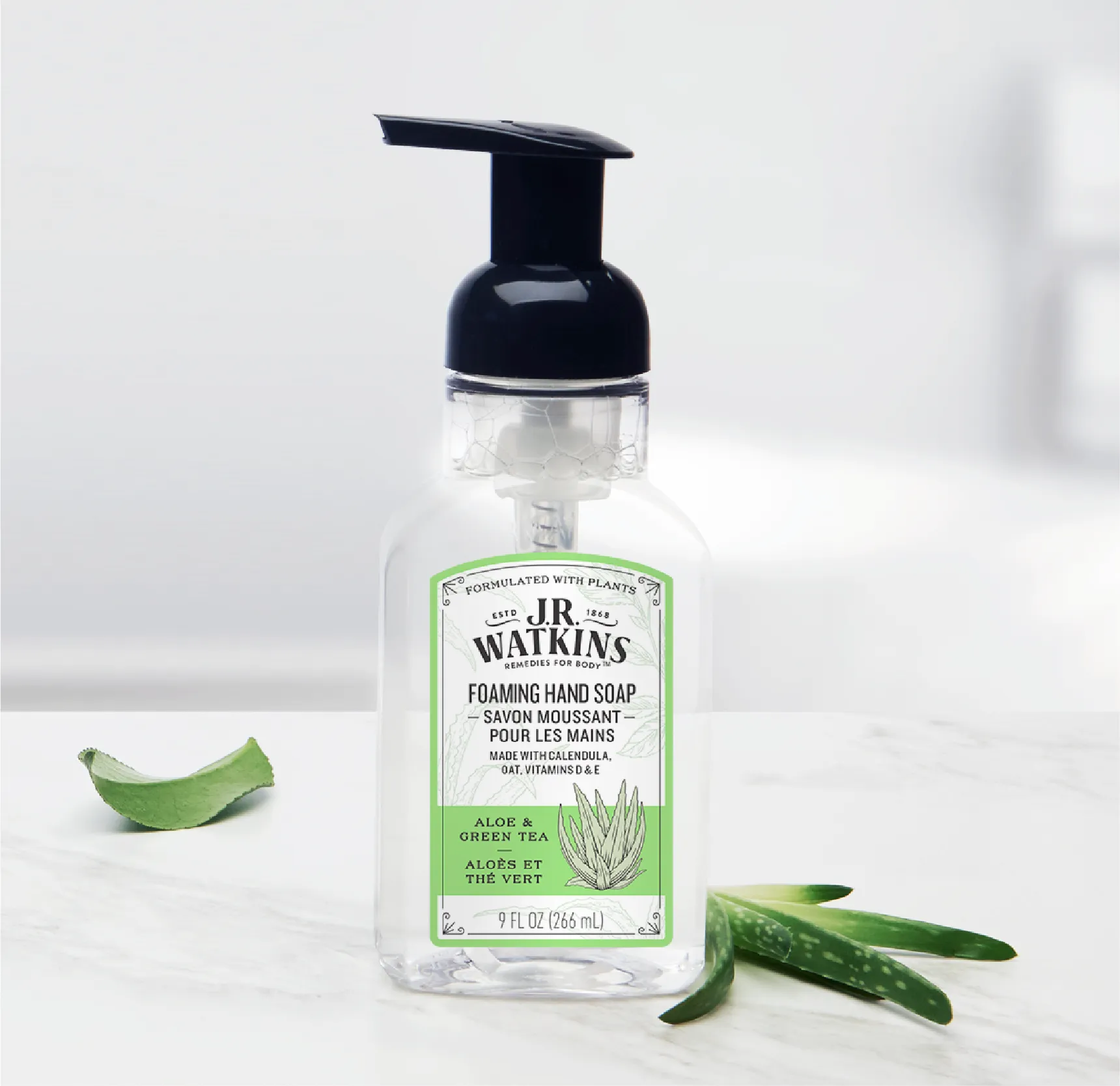 Hand Soap Foaming Aloe & Green Tea 9floz
