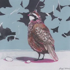 Northern Bobwhite print