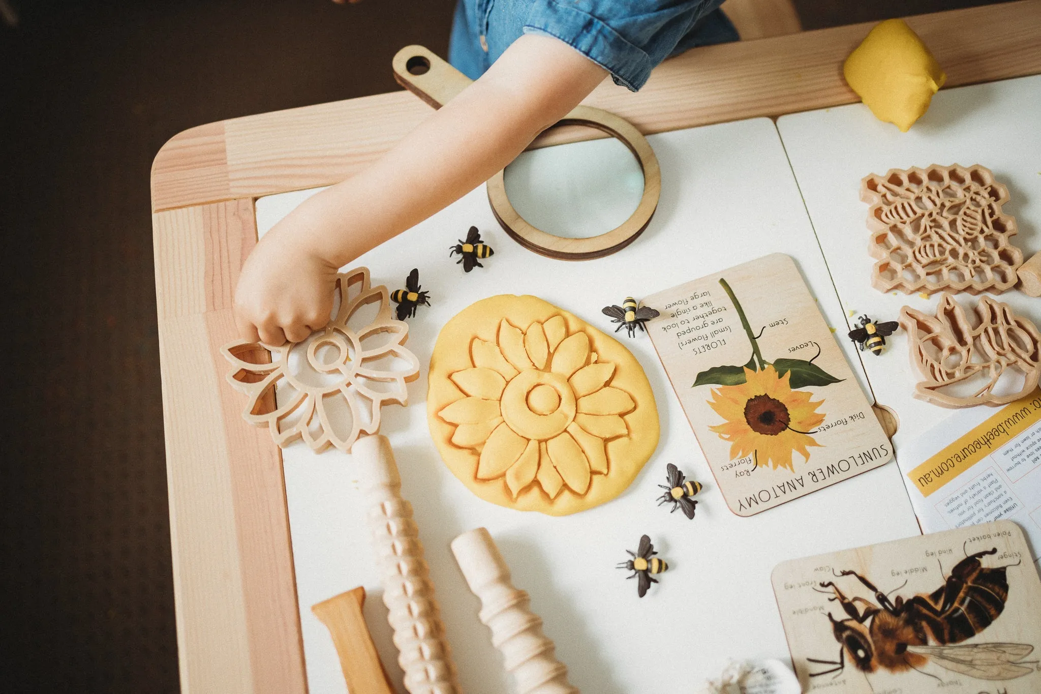 Sunflower Eco Cutter